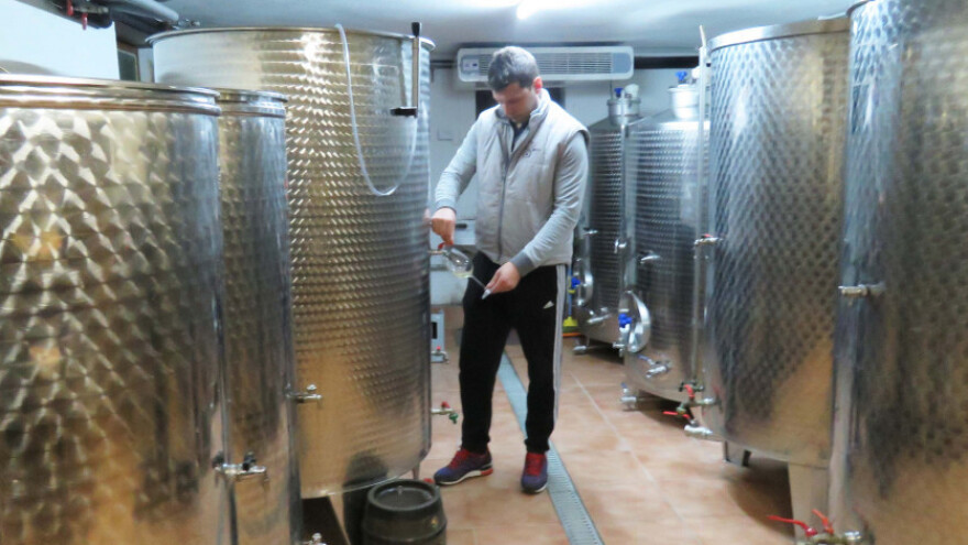 Kao dječak zavolio vinograd, danas ima vrhunska vina