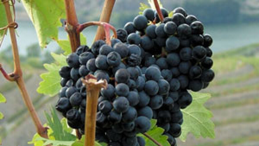 Međimurski vinari: Obitelj Brezovački