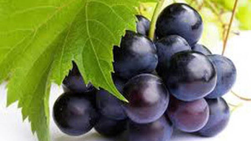 Donesena nova pravila EU za organsko vino