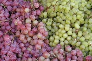 Imotski: visoka kakvoća, a niske cijene vina