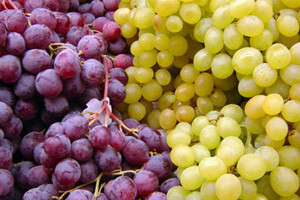 Đakovačka vina proizvest će rekordna 4 milijuna litara vina