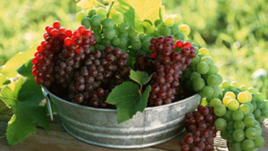 Kraljičak: U berbu grožđa s markicom