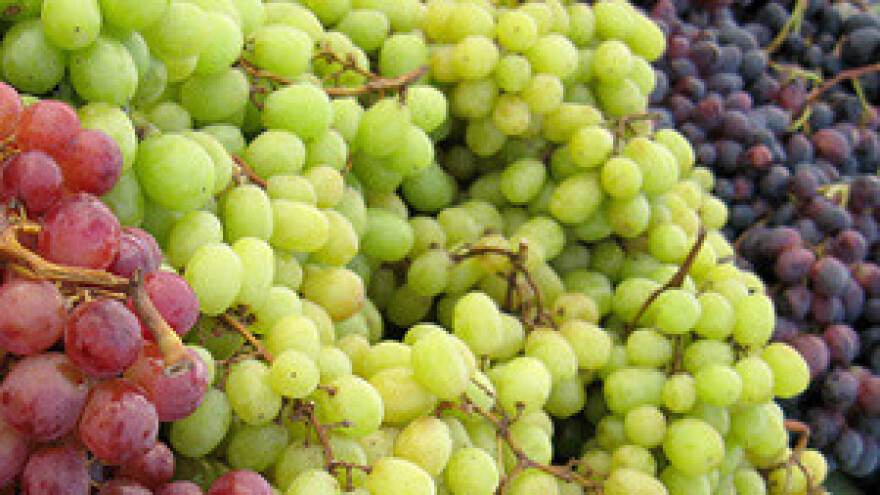 Kutjevo d.d. otkupljivati će viškove grožđa