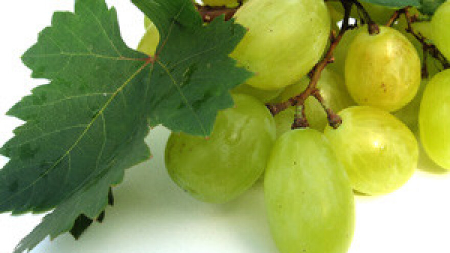 Iločki traminac na jubileju engleske kraljice