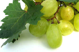 Završna prskanja u vinogradu