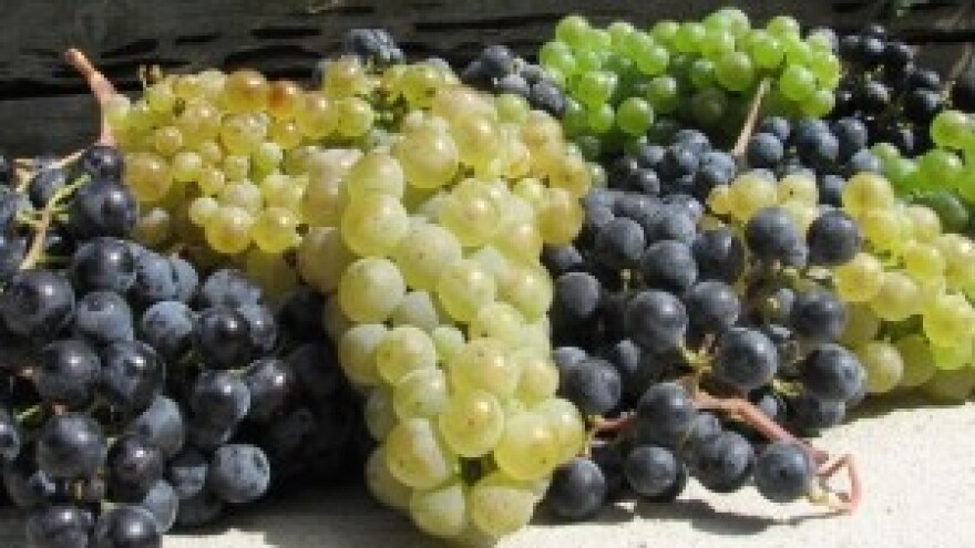 3. Ocjenjivanje i Izložba vina u Općini Križ