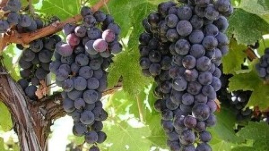 Jakovina se preplašio najava iz Italije