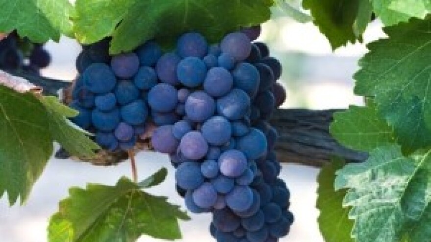 Slovenci ne pristaju na kompromis o teranu