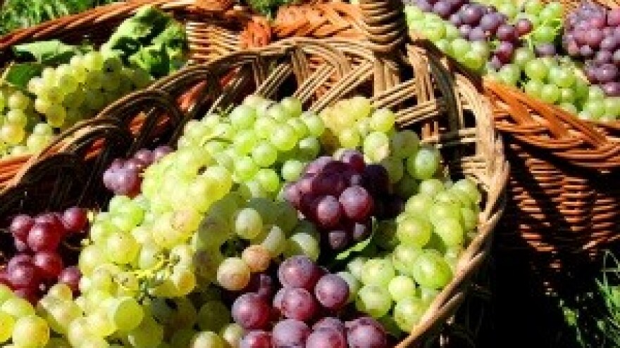 I OPG-i u sustavu kupona