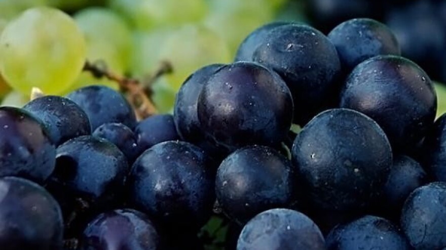 Sajam SLAVIN je postao brend