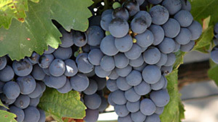 Uspješan sajam SlaVin 2010.