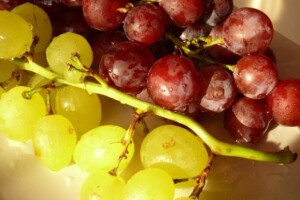 EU za tradicionalnu proizvodnju vinske vrste rose