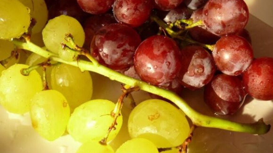 EU za tradicionalnu proizvodnju vinske vrste rose