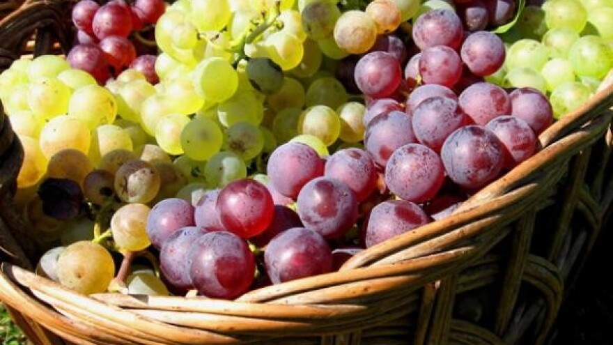 Čobanković podržao vinare