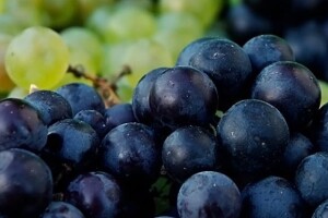 Bit će đakovačkih vina