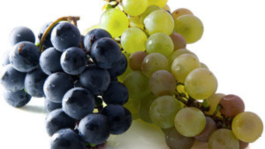 "Dalmacijavino" od sutra u štrajku