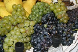Iločki podrumi - 5 mil. litara vina