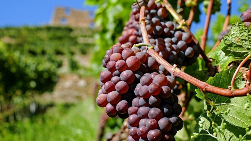 Ništa od proljepšanja - visoke temperature uz lokalne pljuskove i grmljavinu