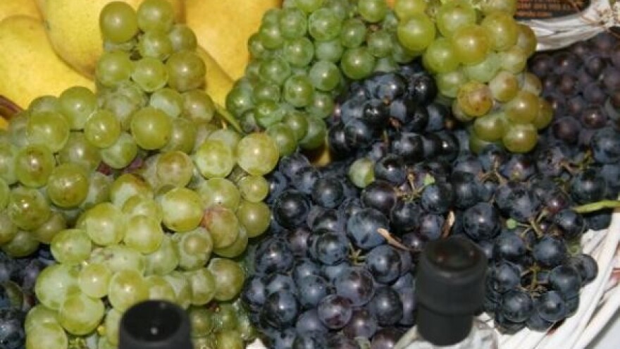 Iločki podrumi - 5 mil. litara vina