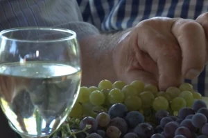 Vinogradari očekuju kvalitetno vino