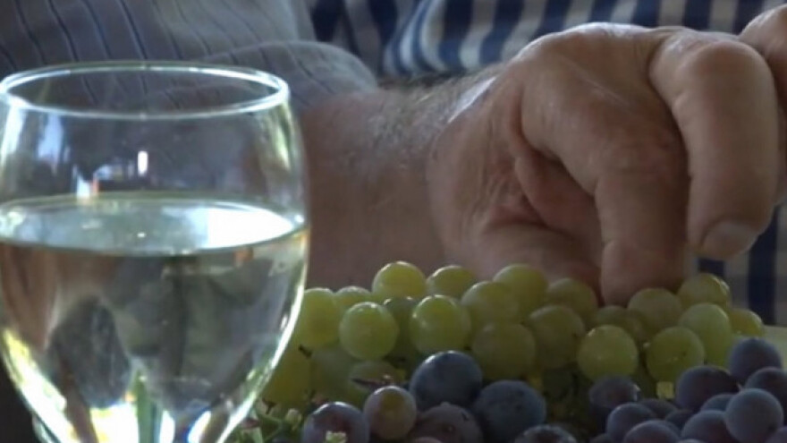 Vinogradari očekuju kvalitetno vino