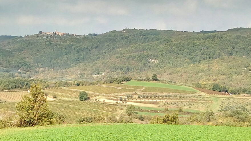 Čim zaprime suglasnosti, Općina Svetvinčenat raspisat će natječaj za zakup zemljišta