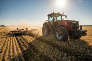 Gruberi, germinatori i tanjurače na baranjskim poljima
