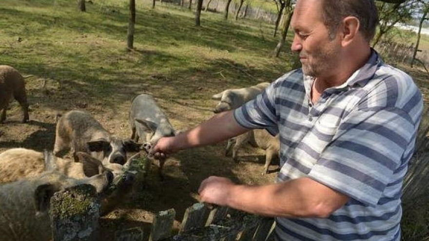 Od zapuštene parcele do solarne sušare