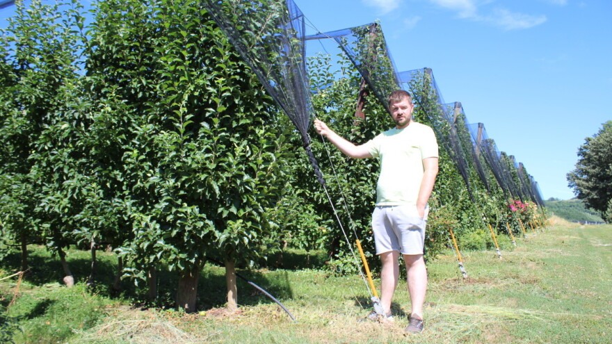 Sistemi za odbranu od grada. Kao talijanski, ali povoljniji