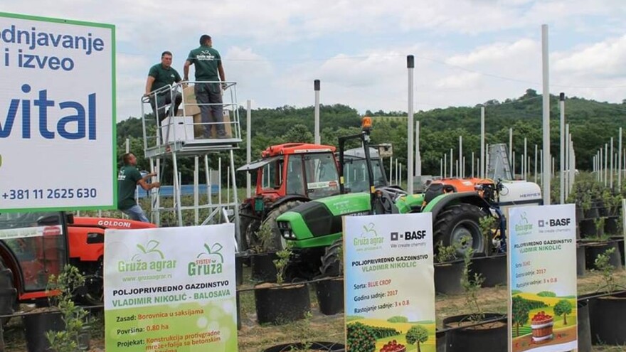 Drugi Sabor voćara na poljima u Gruži