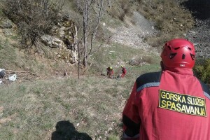 Krava upala u vrtaču, izvlačila ju Gorska služba spašavanja