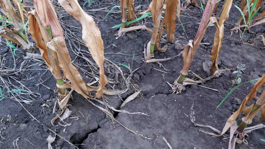 U jednoj deceniji EU zbog klimatskih promena izgubila 145 milijardi evra