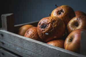 Gubici plodova jabuke za vrijeme čuvanja