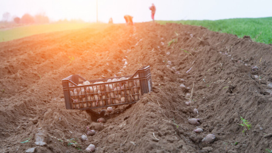 250 do 300 miliona KM gubitaka zbog sporazuma sa EU?