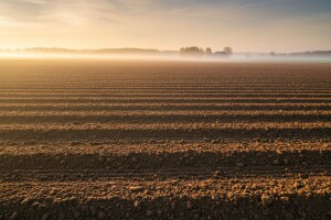 Gubitak Vupika tri puta manji nego lani