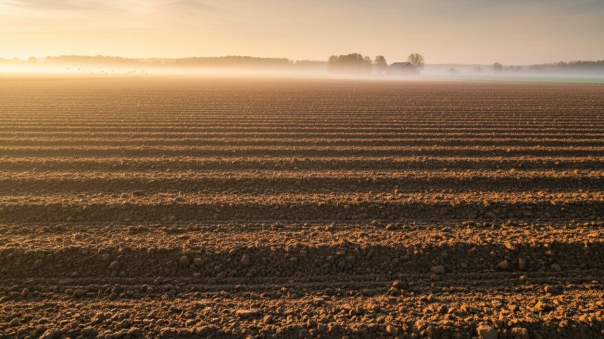 Gubitak Vupika tri puta manji nego lani