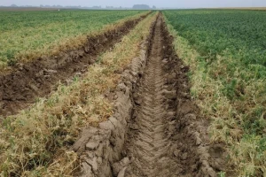 Gusjenice ili točkovi na traktorima i/ili kombajnima??