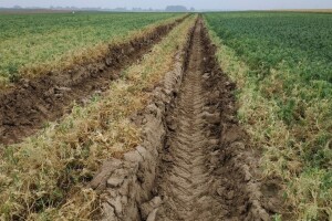 Gusjenice ili točkovi na traktorima i/ili kombajnima??