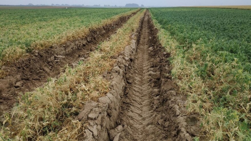 Gusjenice ili točkovi na traktorima i/ili kombajnima??