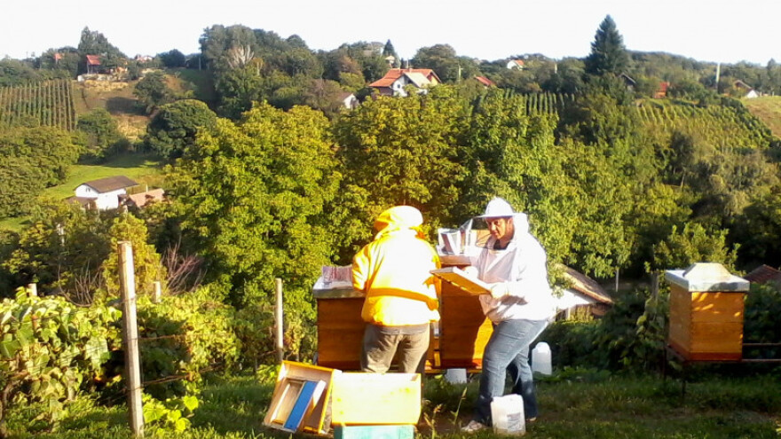 Tri generacije pčelara uspješne koprivničke obitelji Harači