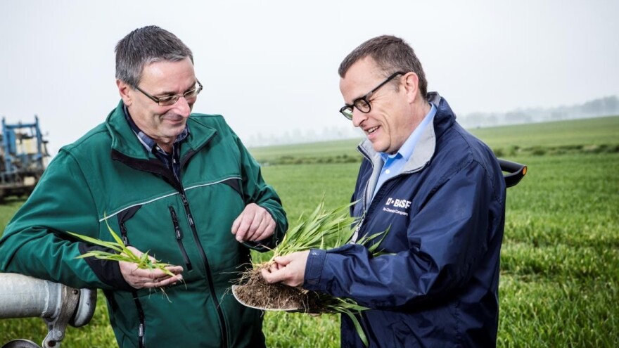 BASF dobio odobrenje za inovativni fungicidni sastojak Revysol® za Europu