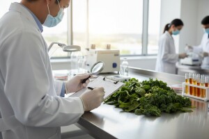 HACCP radionica o sigurnosti hrane