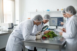 HACCP radionica za voditelje HACCP tima