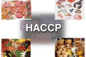 Seminar o osnovama HACCP sustava