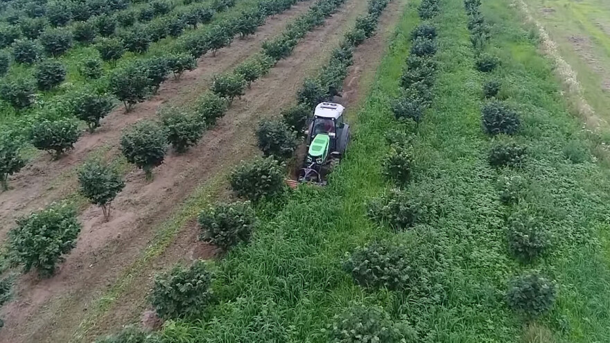 2u1 akcija: Frezanje i malčiranje voćnjaka kombinacijom dva stroja
