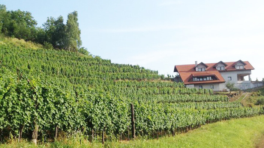 Nude samo domaće: sve što proizvedu na OPG-u Halapir, stiže gostima na stol "Kod Đurđe"