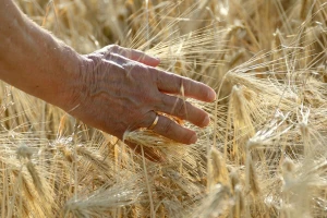 Indikativni plan: Više od 2 milijarde kuna za Program ruralnog razvoja u 2020. godini