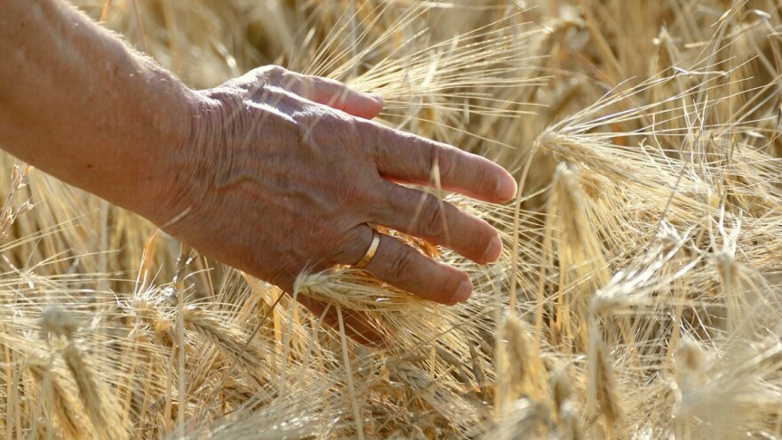 Indikativni plan: Više od 2 milijarde kuna za Program ruralnog razvoja u 2020. godini