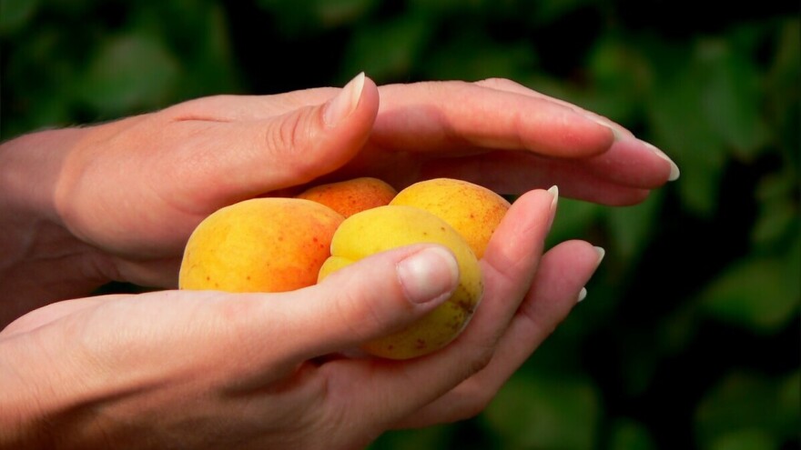 Kad ne mogu izaći na kraj s viškovima voća i povrća - doniraju ga Caritasu