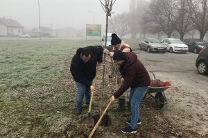 I HAPIH se pridružio sadnji novog drveća, ispred zgrade posadili deset javora